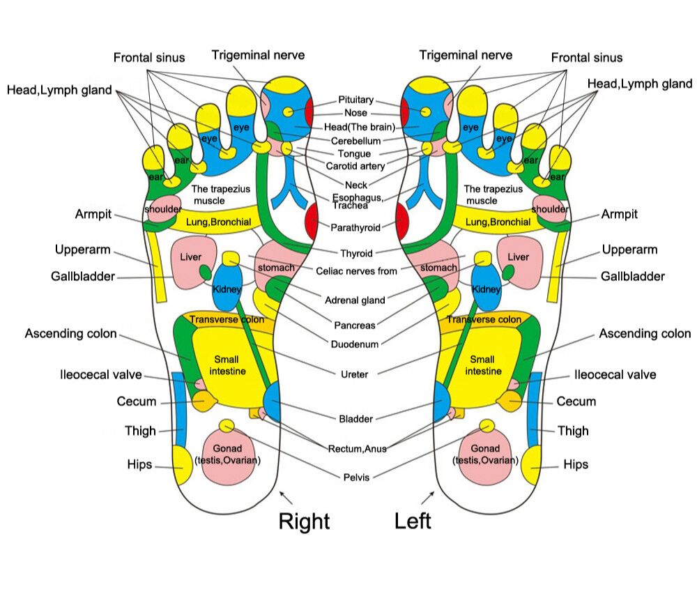 Foot reflexology map with labeled body parts and corresponding reflex zones.