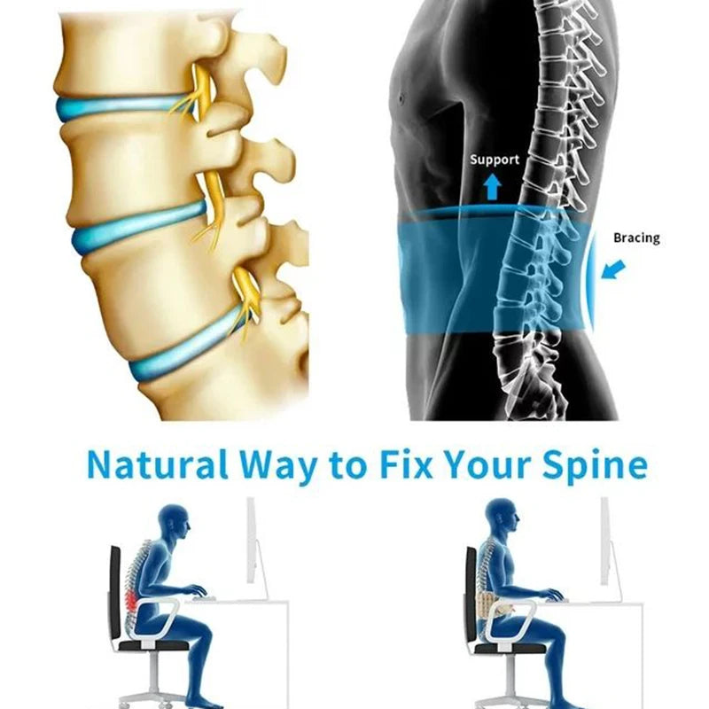 Illustration of a spine with support and bracing, showing a natural way to fix the spine.