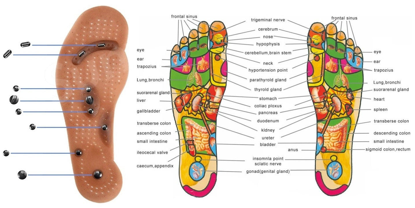Magnetic Reflex Acupressure Insoles | Foot Comfort